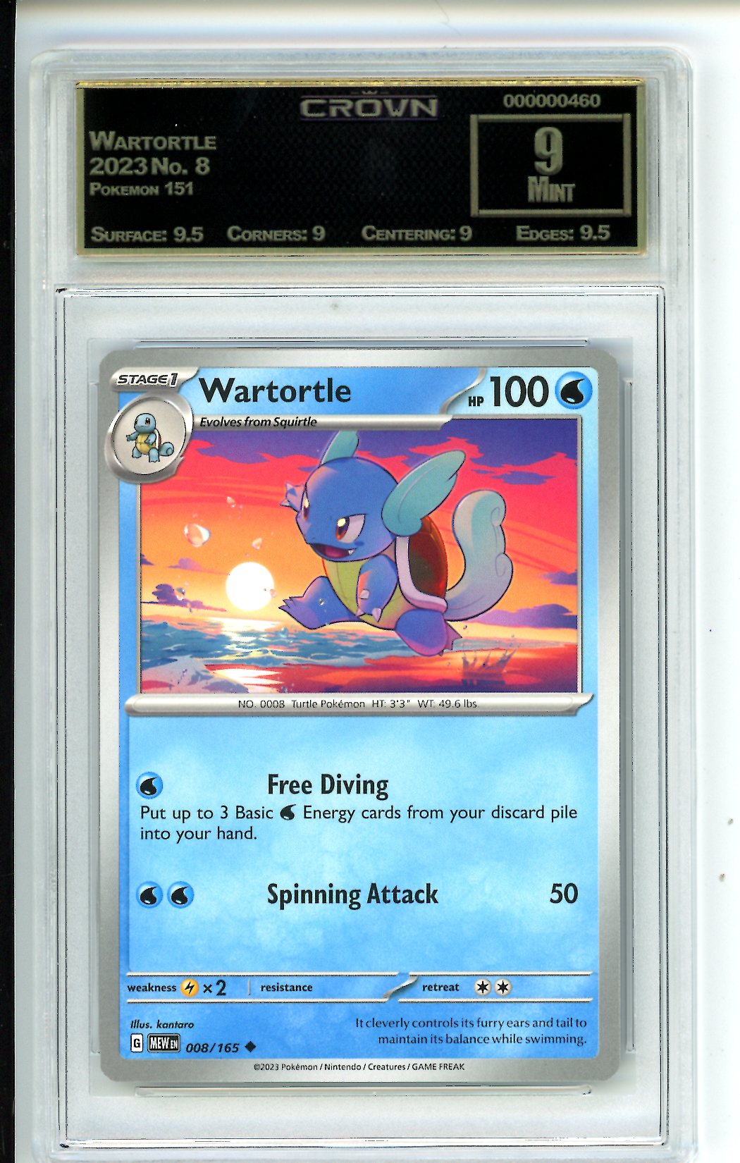 Wartortle