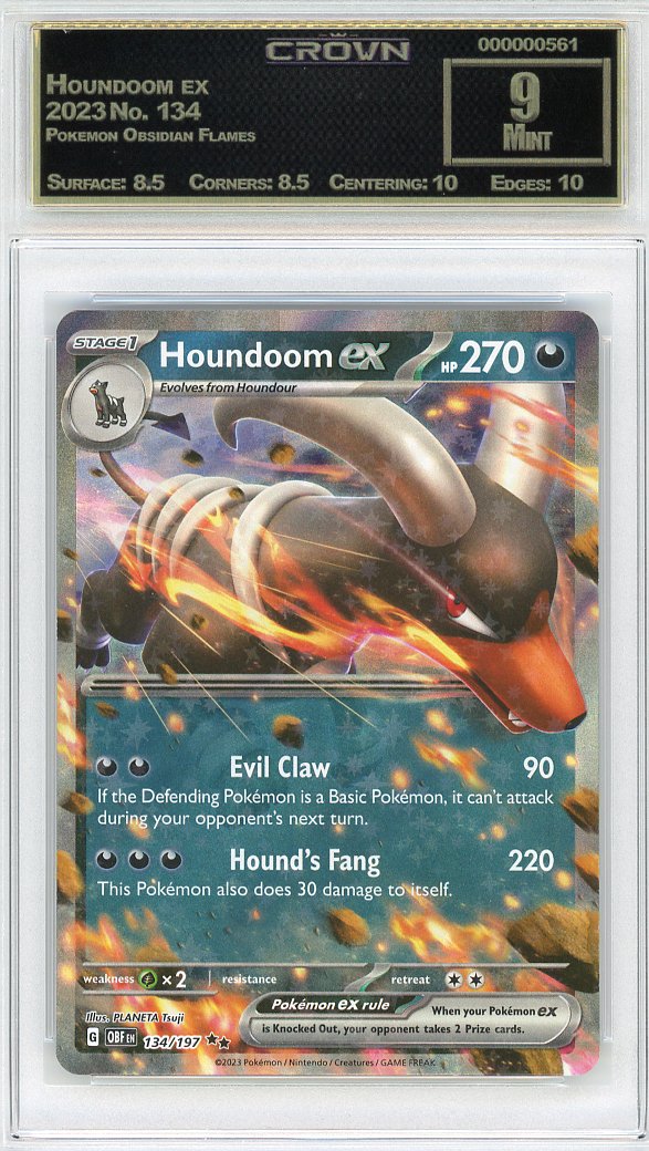 Houndoom ex