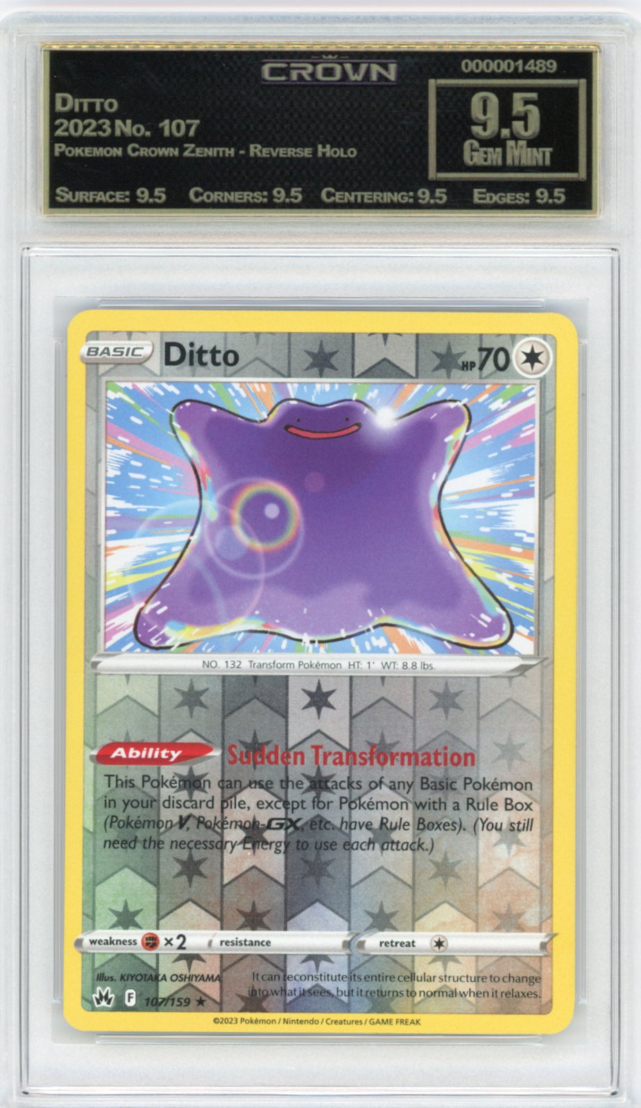 Ditto