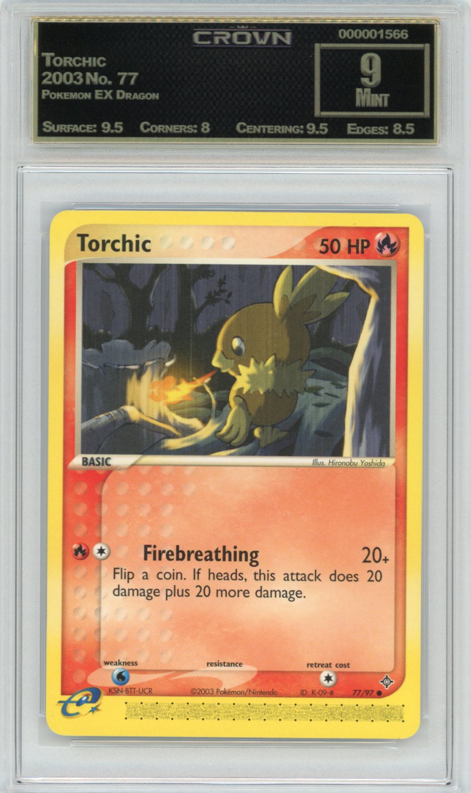 Torchic