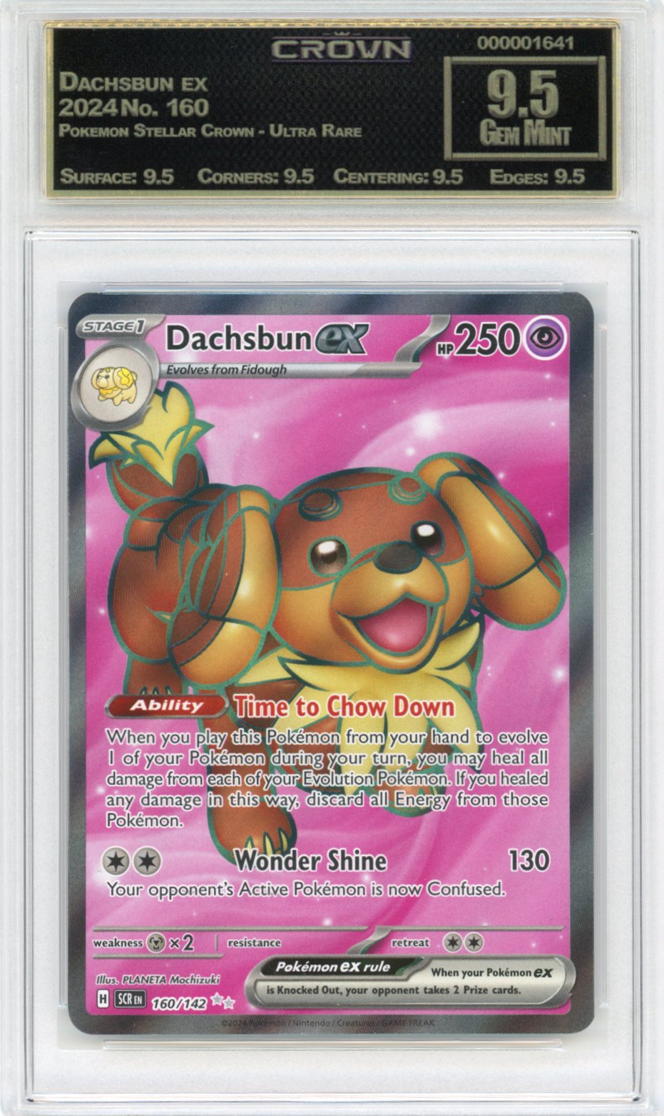 Dachsbun ex
