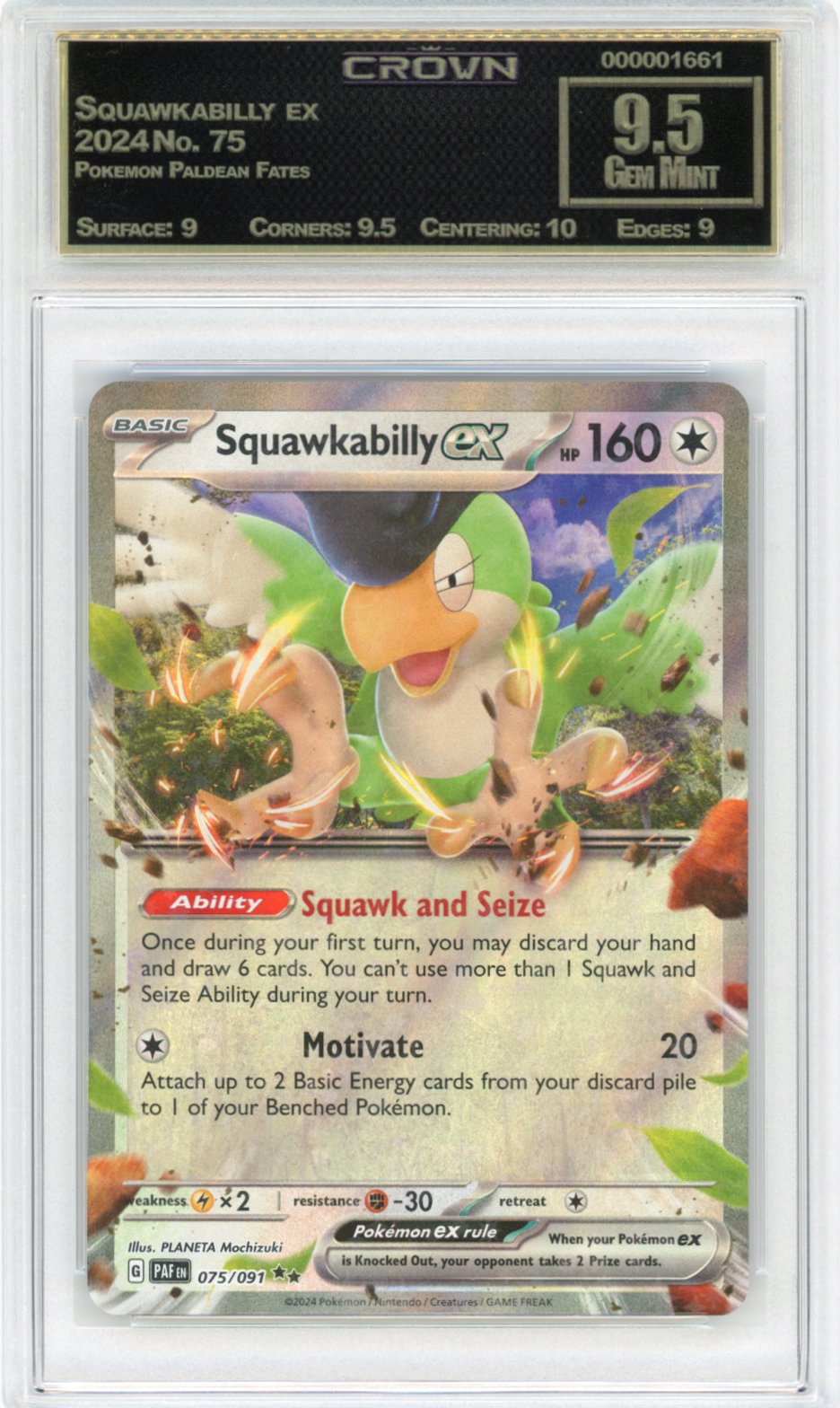 Squawkabilly ex