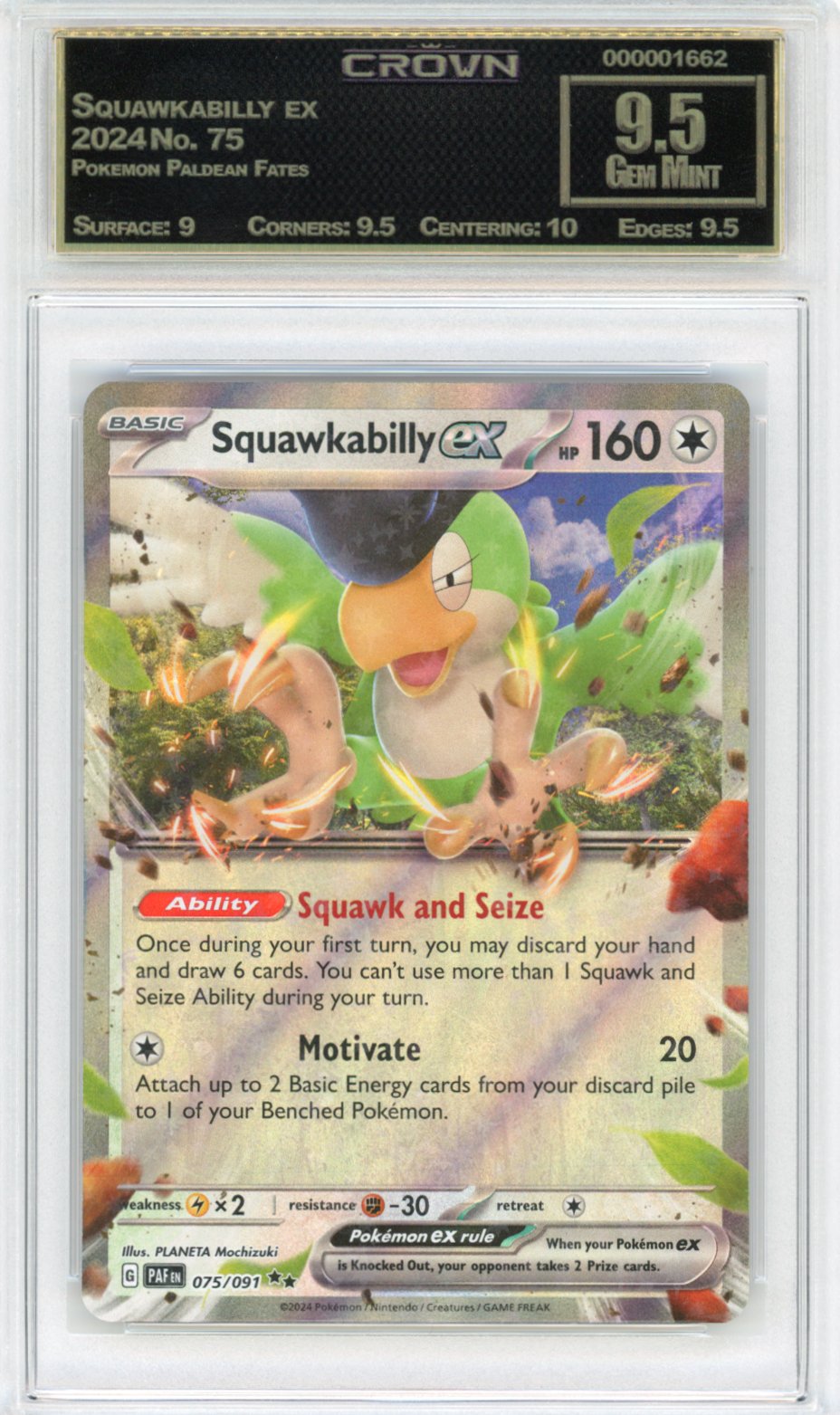 Squawkabilly ex