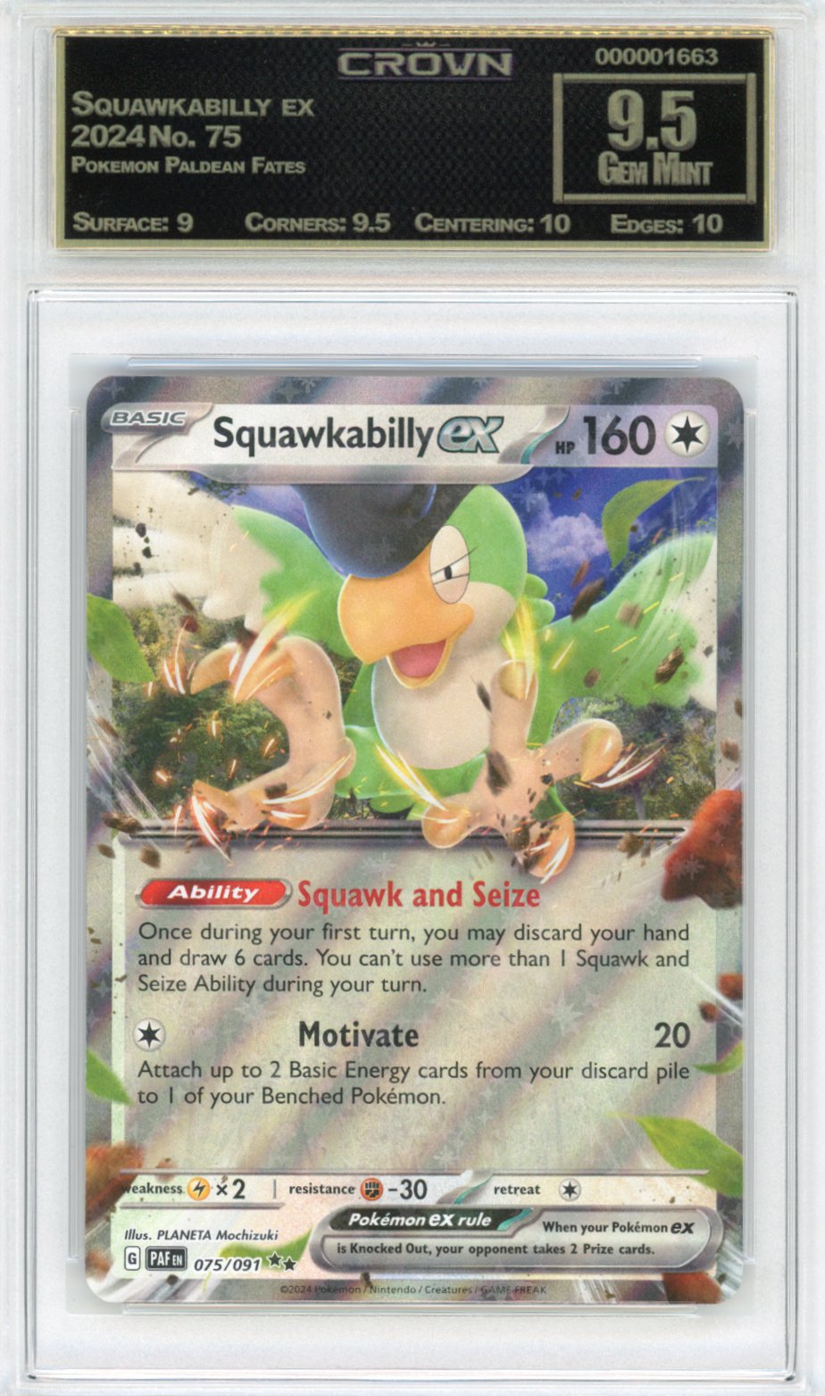Squawkabilly ex
