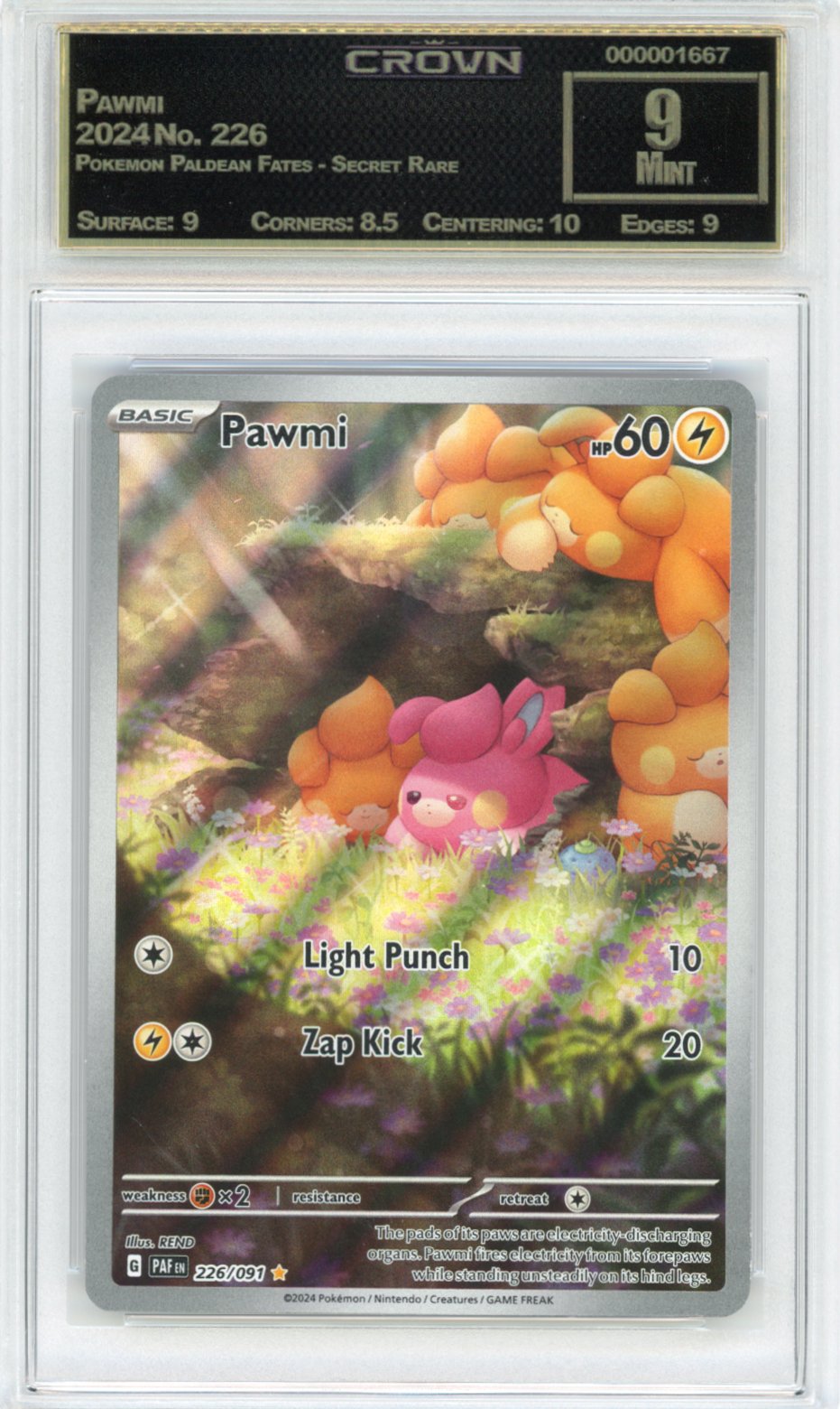 Pawmi