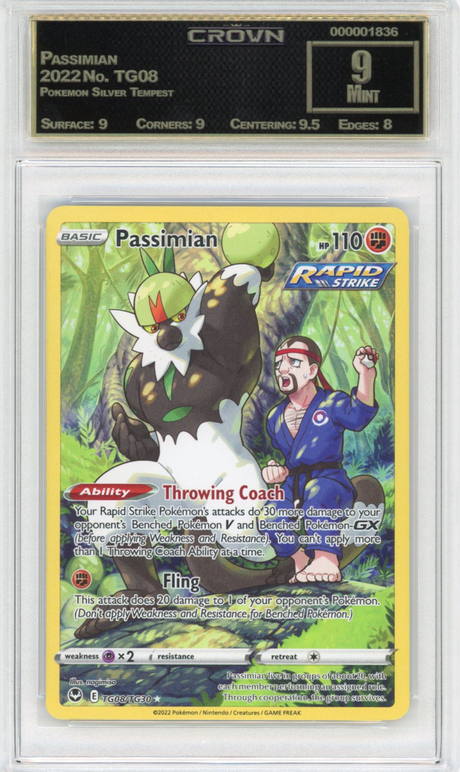 Passimian