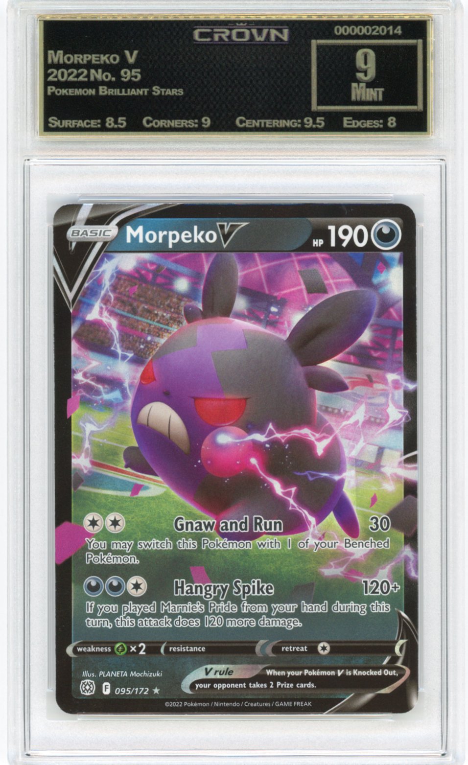 Morpeko V