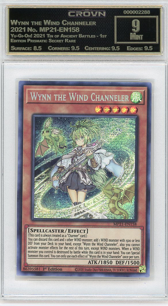Wynn the Wind Channeler