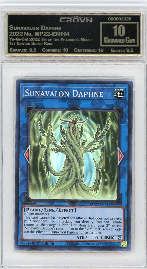 Sunavalon Daphne