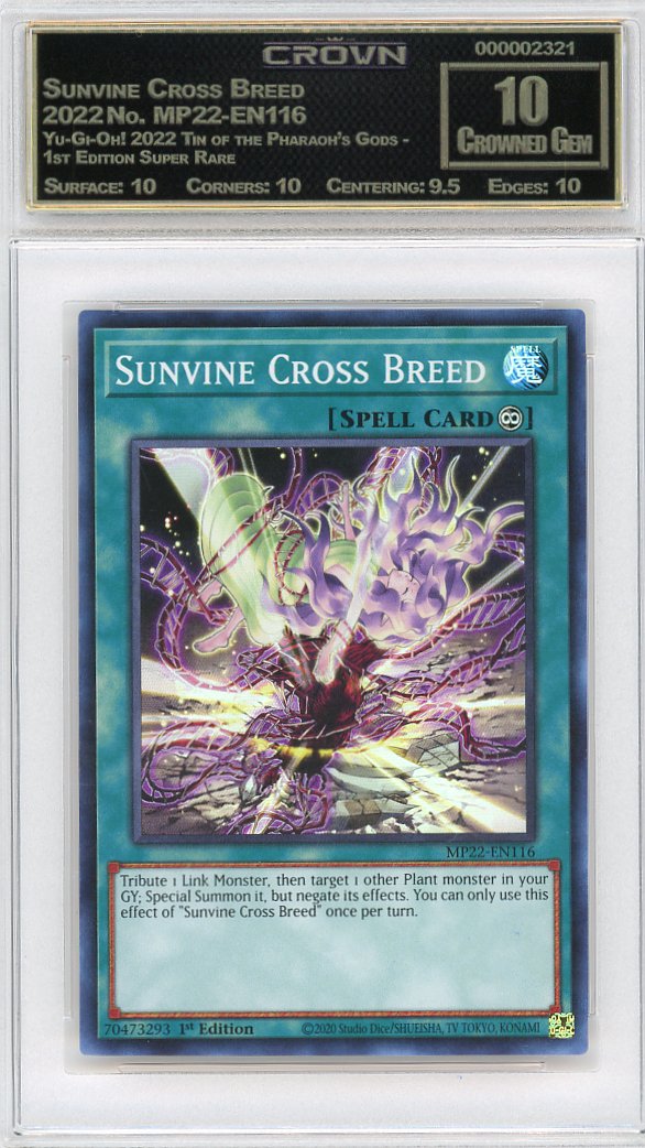 Sunvine Cross Breed