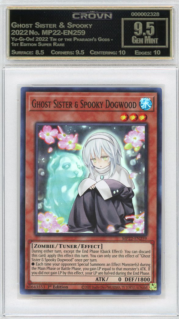 Ghost Sister & Spooky Dogw…
