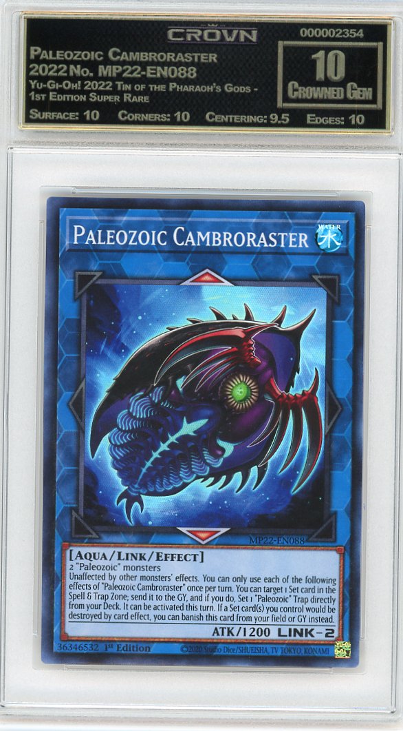 Paleozoic Cambroraster