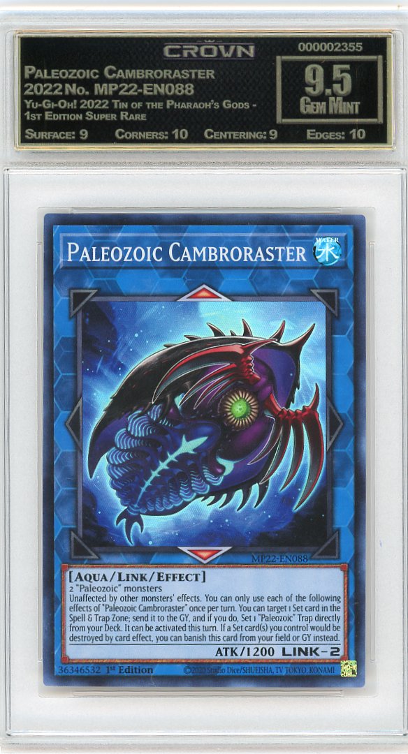 Paleozoic Cambroraster