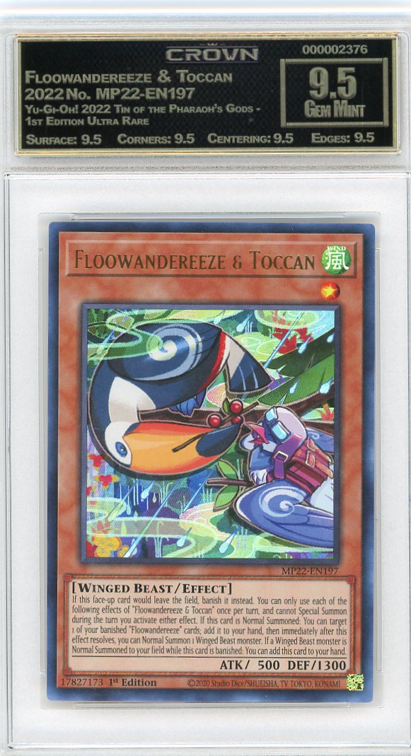 Floowandereeze & Toccan