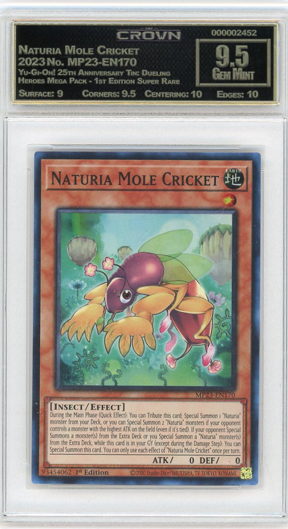 Naturia Mole Cricket