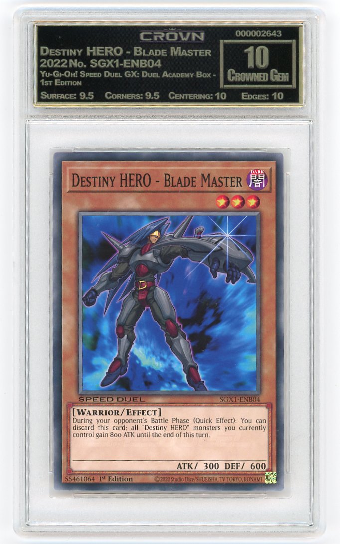 Destiny HERO - Blade Master