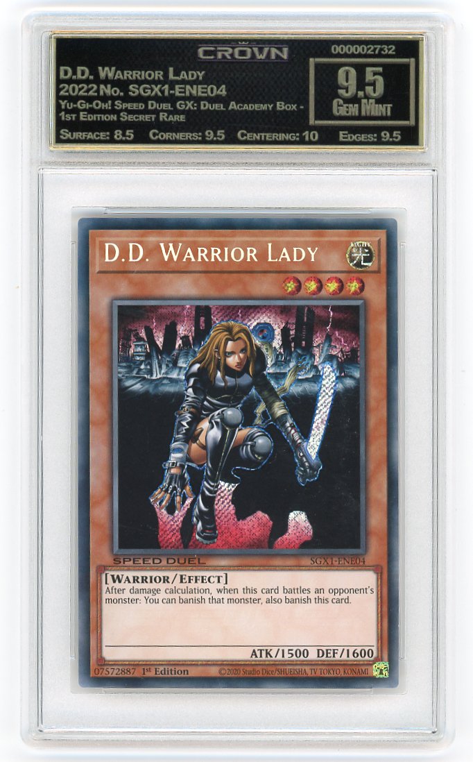 D.D. Warrior Lady