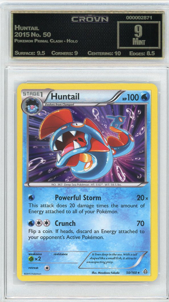 Huntail