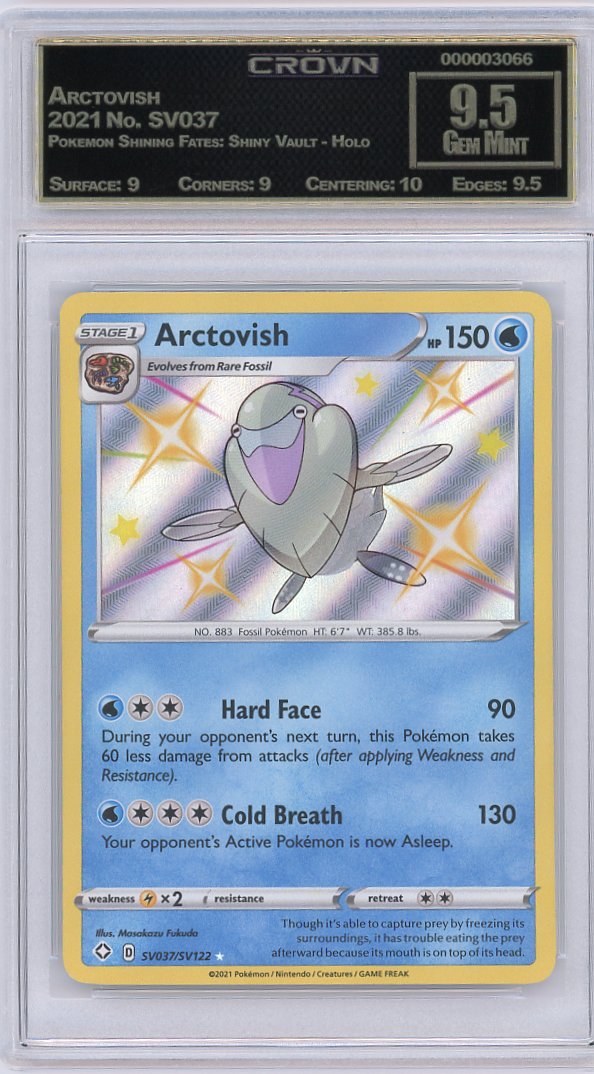 Arctovish