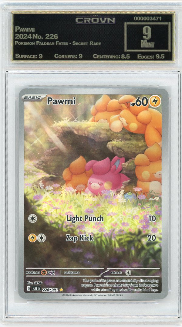 Pawmi