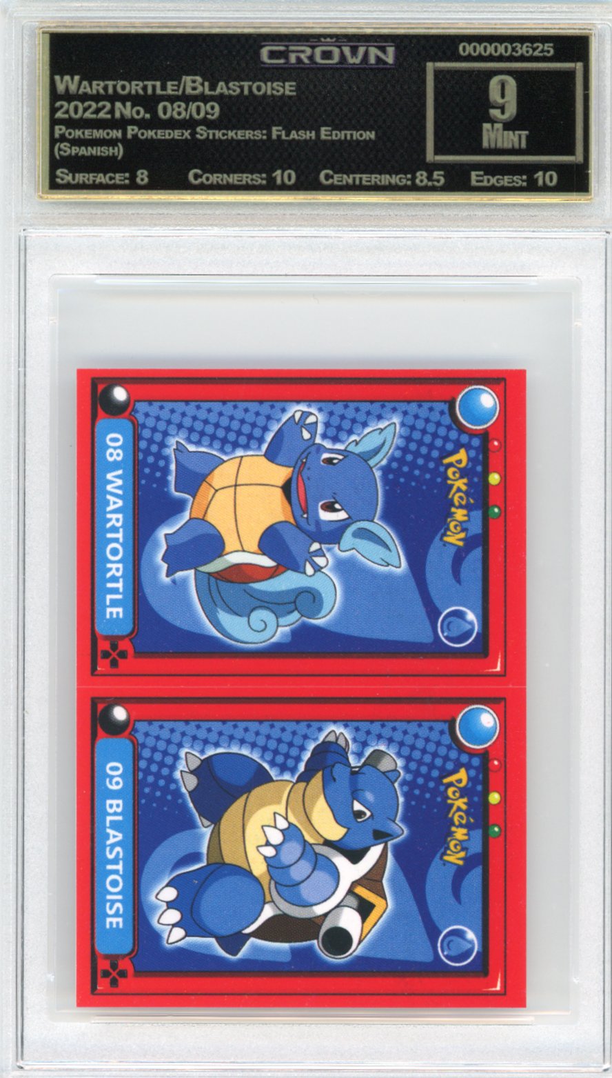 Wartortle/Blastoise