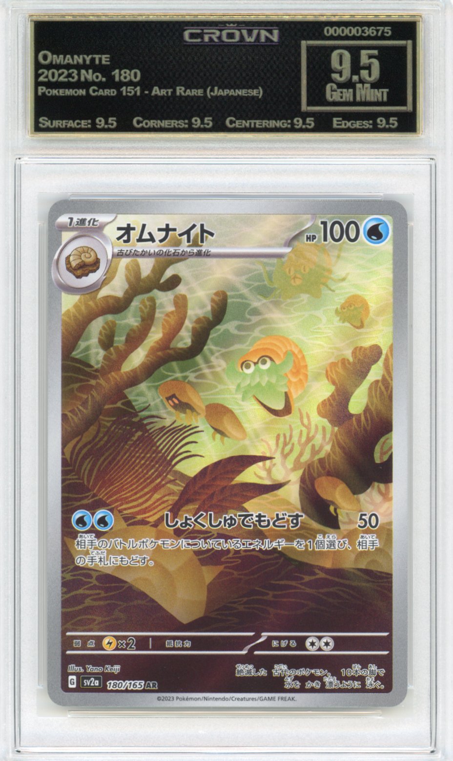 Omanyte