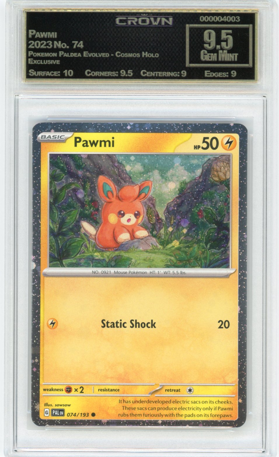 Pawmi