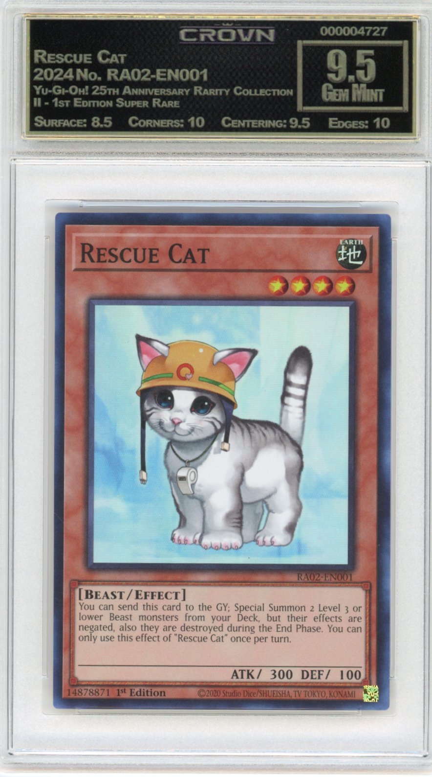 Rescue Cat