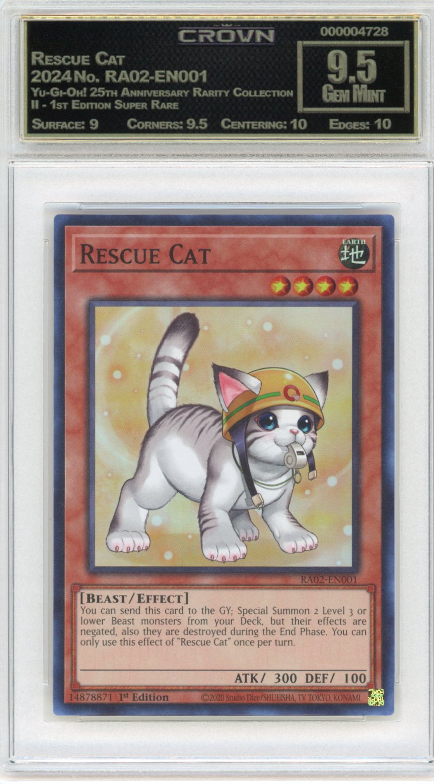Rescue Cat