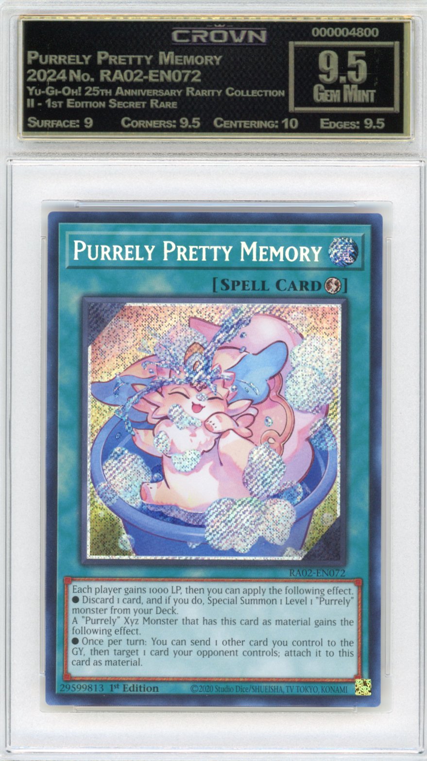 Purrely Pretty Memory