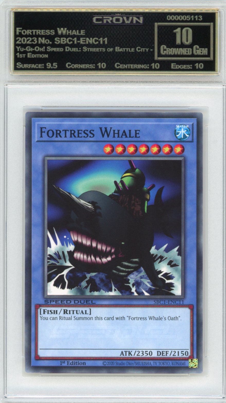 Fortress Whale