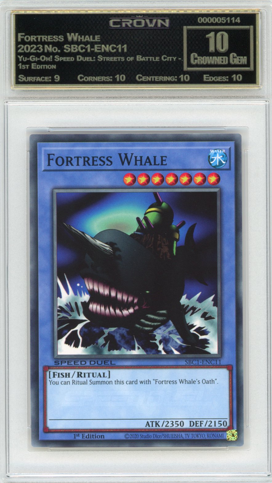Fortress Whale