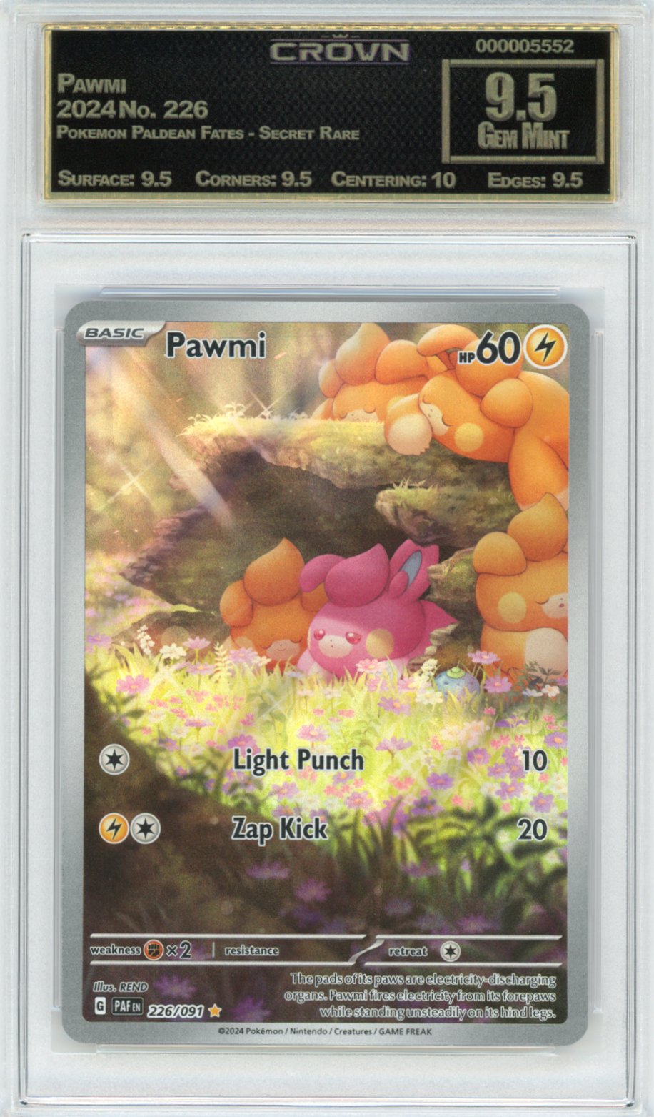 Pawmi