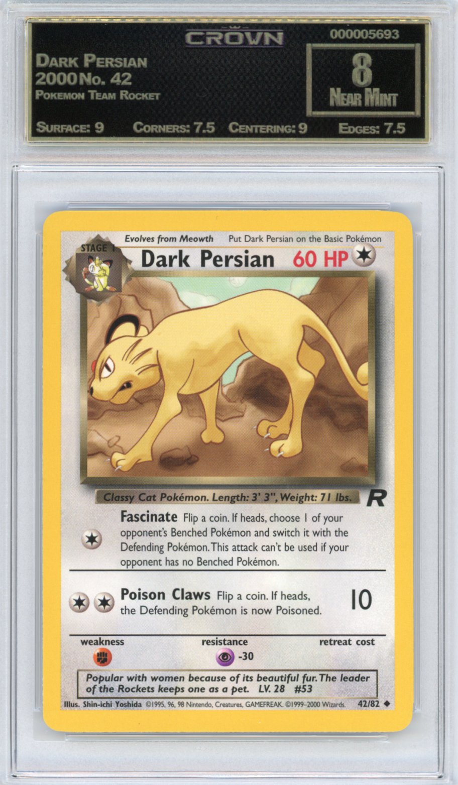 Dark Persian