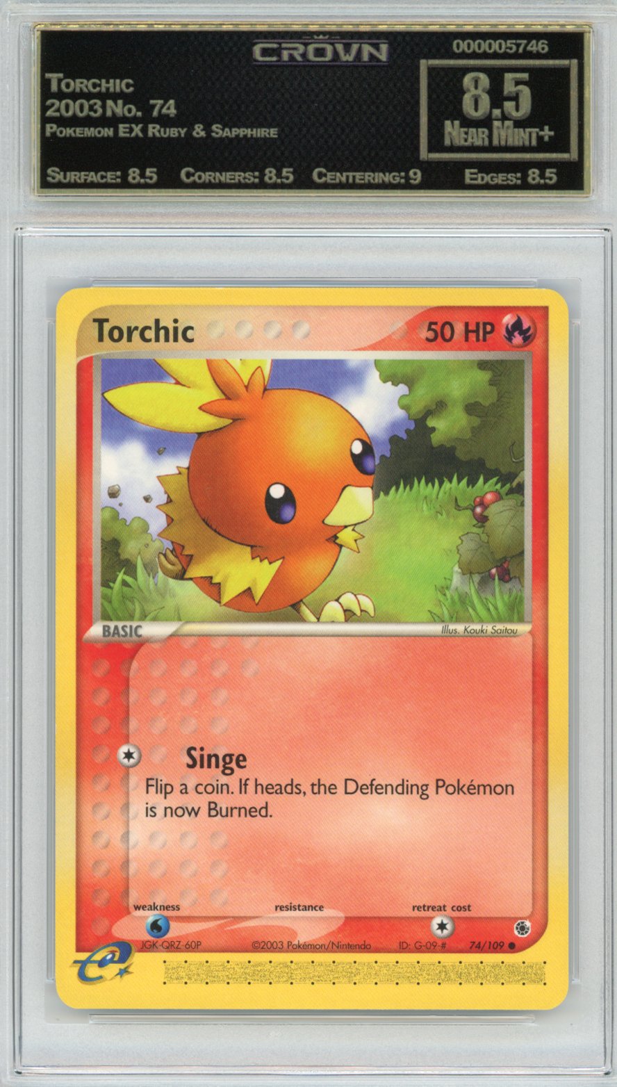 Torchic