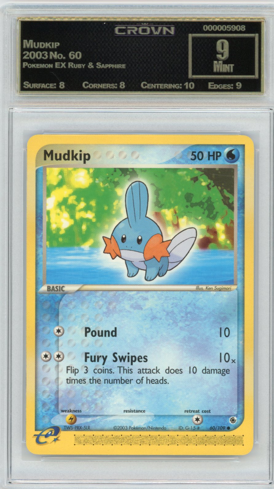 Mudkip
