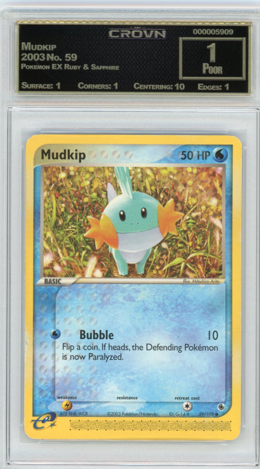 Mudkip