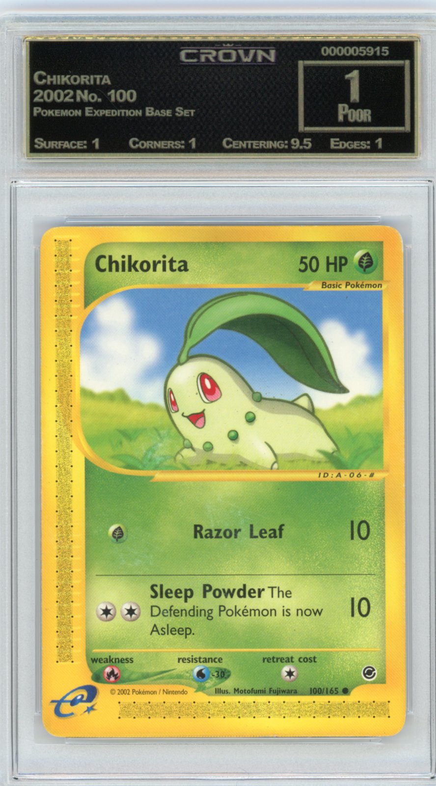 Chikorita