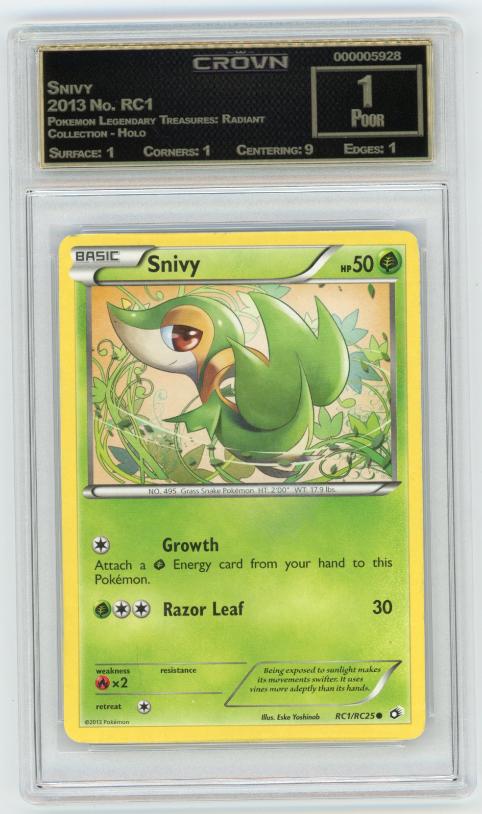 Snivy