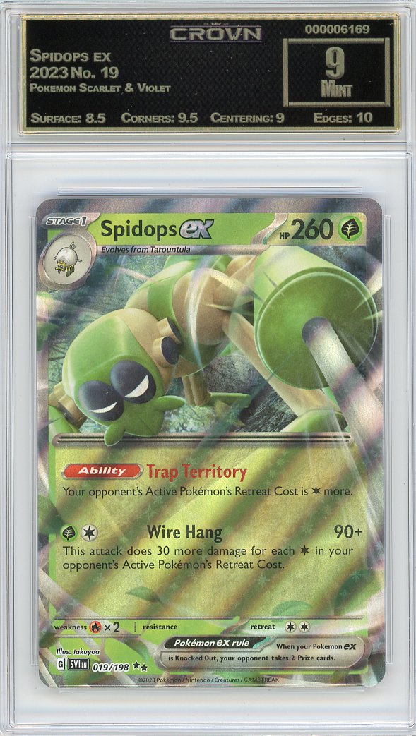Spidops ex