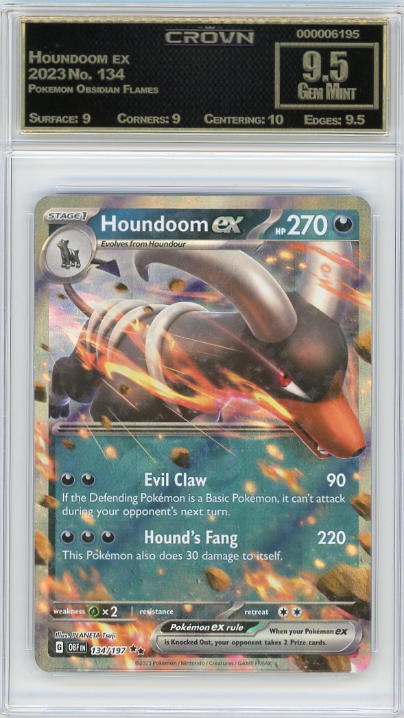Houndoom ex