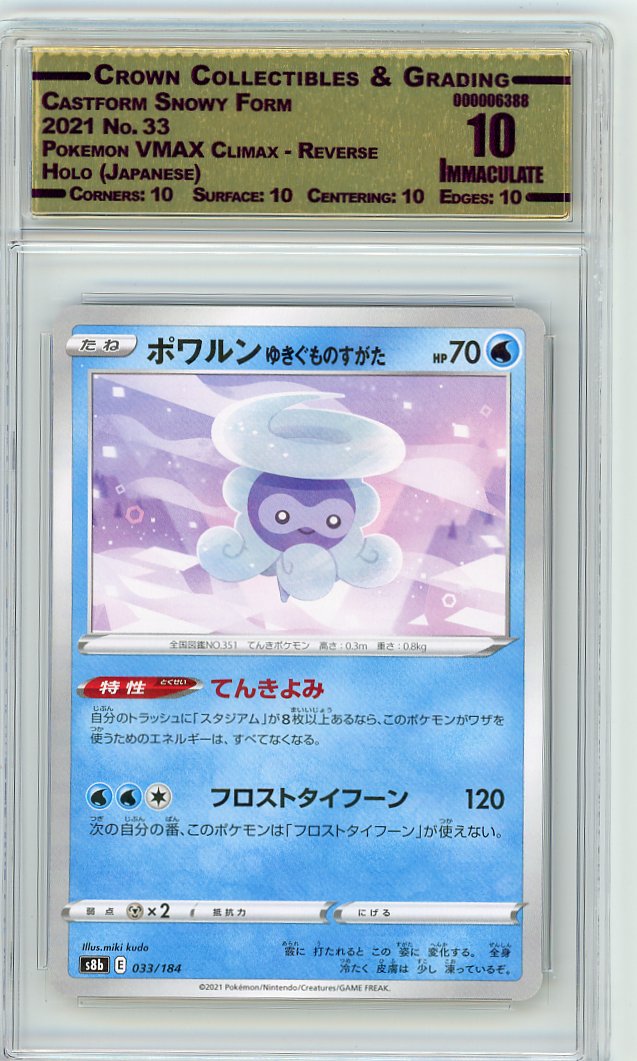 Castform Snowy Form