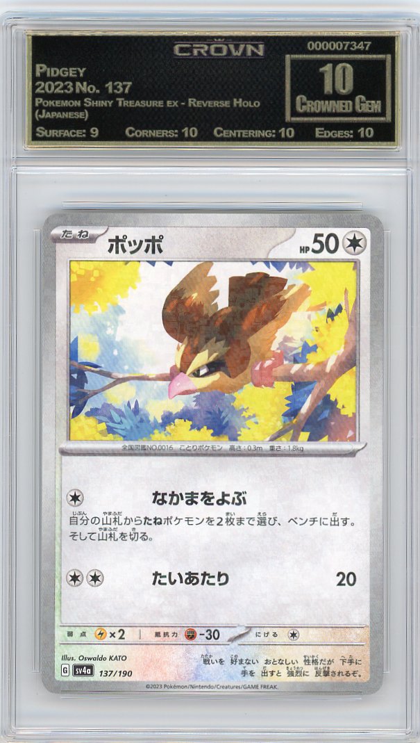 Pidgey
