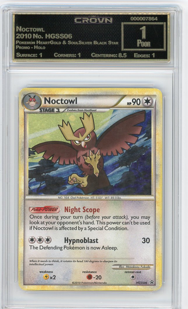 Noctowl