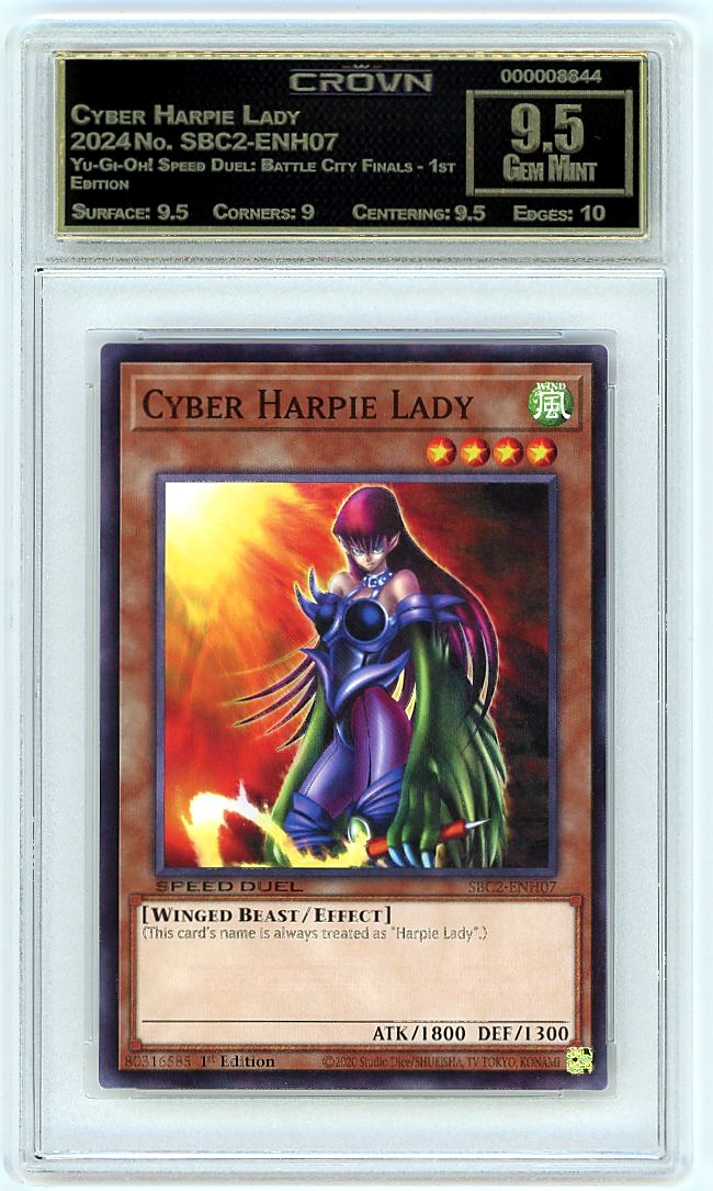 Cyber Harpie Lady
