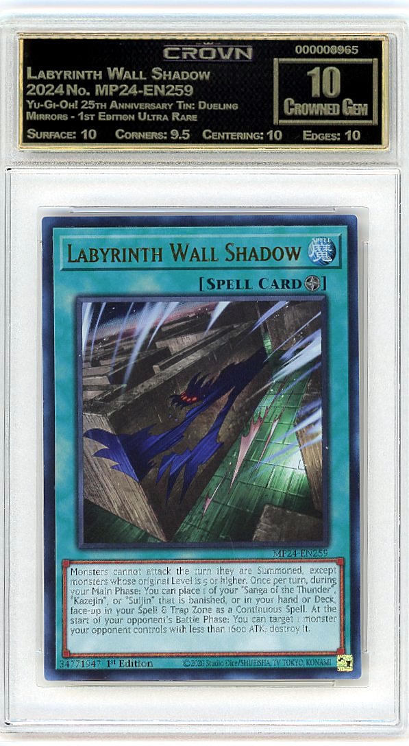 Labyrinth Wall Shadow