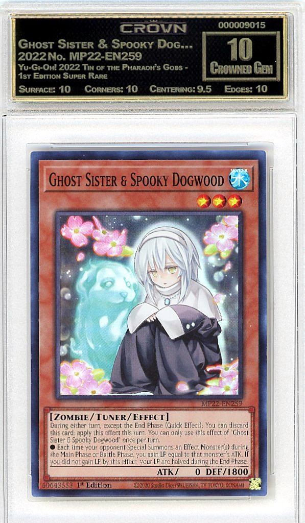 Ghost Sister & Spooky Dog…