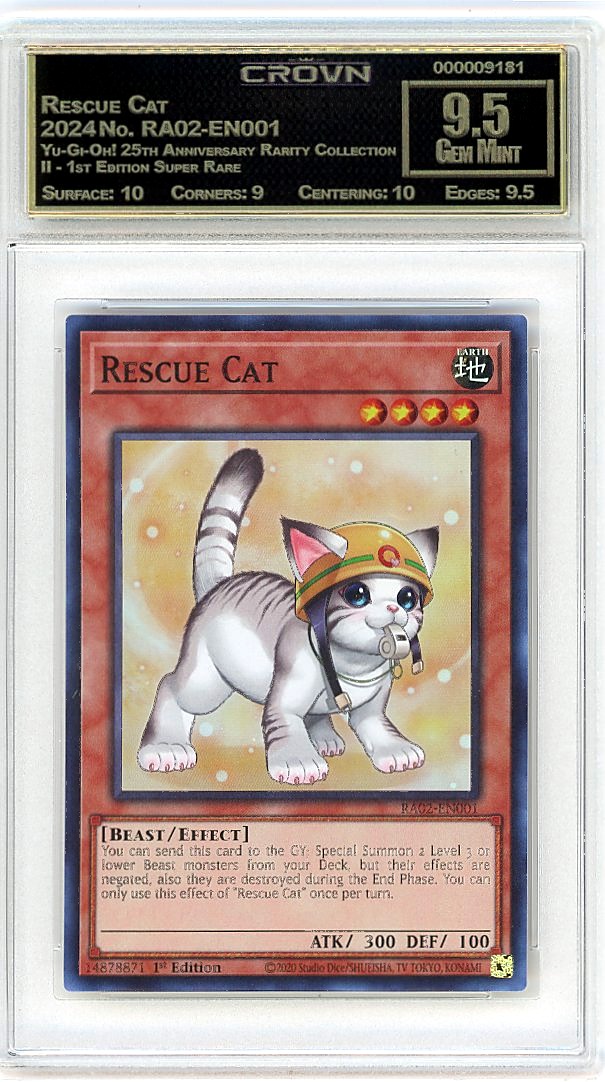 Rescue Cat