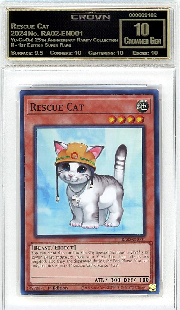 Rescue Cat