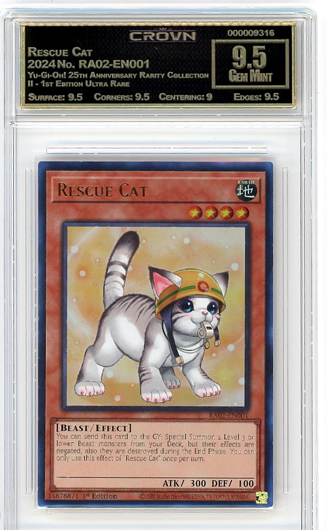 Rescue Cat